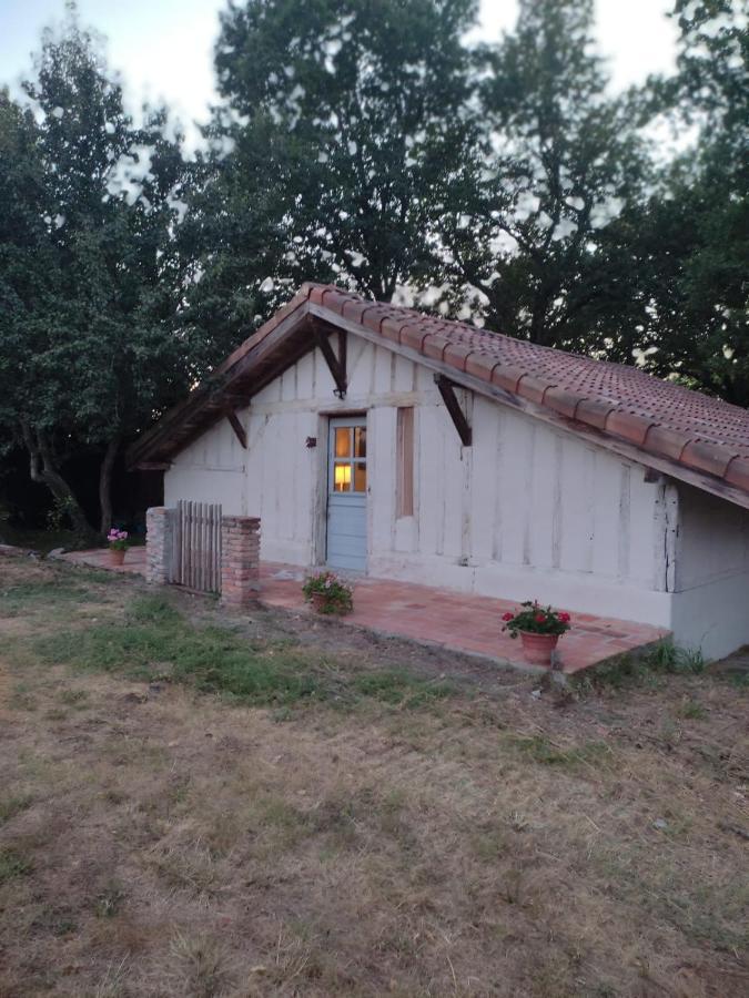 Maisonnette Vue Sur Foret Campagne  Exterior foto